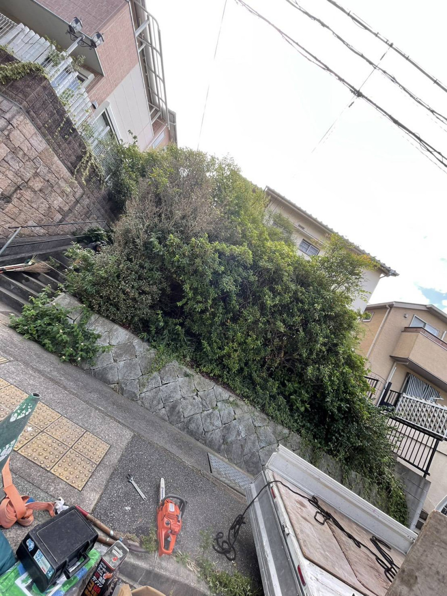 草刈り・剪定・除草作業