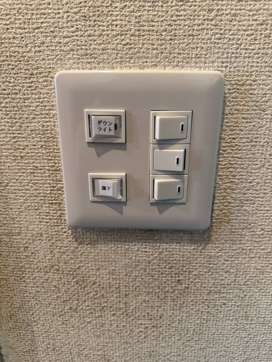 照明・スイッチ交換